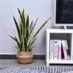 SANSEVERIA ARTIFICIALE PIANTA DA ESTERNO E INTERNO CON VASO DECORATIVO REALISTICA VERDE E GIALLO 15CM X 80CM