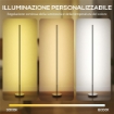 LAMPADA DA TERRA LED ALTA 150 CM CON TEMPERATURA DEL COLORE REGOLABILE E TELECOMANDO, ARGENTO