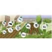 VEGGIE-GARDEN KIT PER MICRO IRRIGAZIONE A GOCCIA CON REGOLATORE DI PRESSIONE