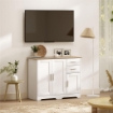 CREDENZA MODERNA IN LEGNO CON 2 CASSETTI E 2 ARMADIETTI, 100X40X78 CM, BIANCO E COLOR LEGNO