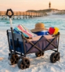 CARRELLO CON STRUTTURA IN METALLO PORTATA MASSIMA 80 KG COLORE BLU CON RUOTE 125 X 60 X 99 CM OKX