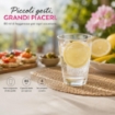 POSITANO BICCHIERINI DA CHUPITO IN SET 6 PEZZI DA 85ML