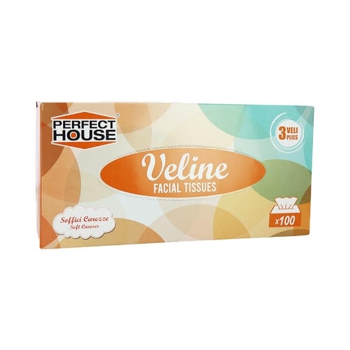 VELINE PERFCT HOUSE CON 3 VELI SOFT - 100 PEZZI