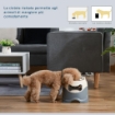 DOPPIA CIOTOLA PER CANI RIALZATA IN ACCIAIO INOX E PLASTICA E PIEDINI ANTISCIVOLO, 47X25X20CM, BIANCO